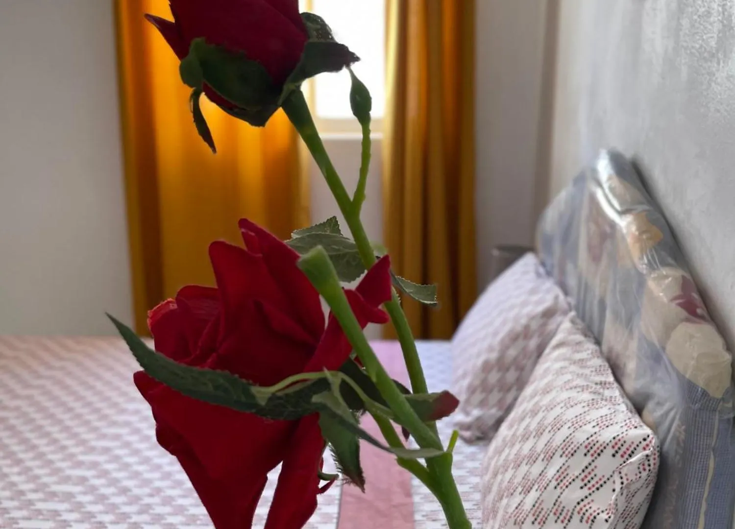 House Of Happiness Apartment Praia
