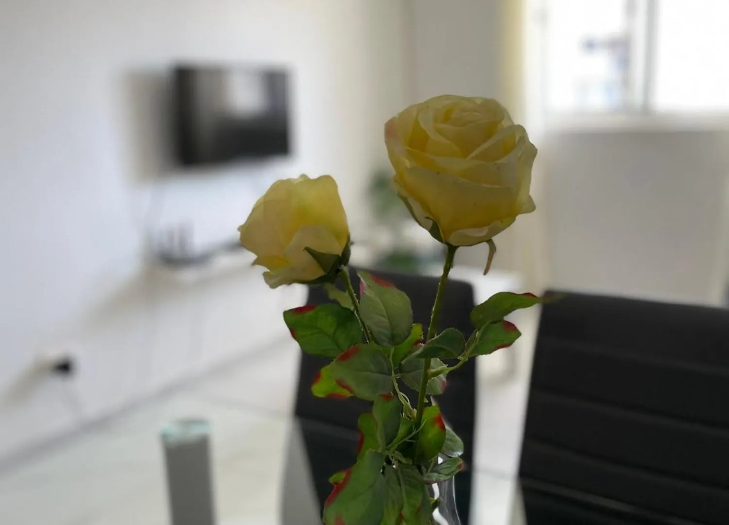 House Of Happiness Apartment Praia 0*,